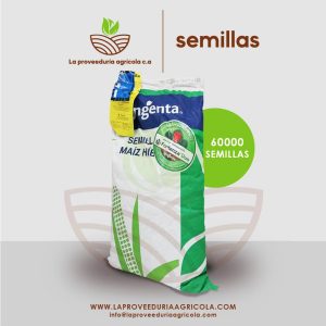 Semilla de Maíz Amarillo Híbrido SYNCO - SYGENTA (trat fortenza duo)