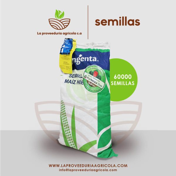 Semilla de Maíz Amarillo Híbrido SYNCO - SYGENTA (trat fortenza duo)