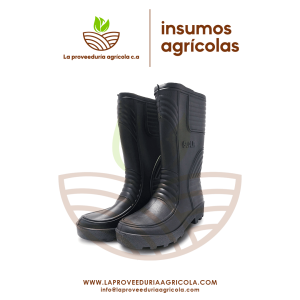 INSUMO