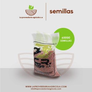 semillas