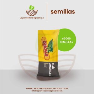 Semilla de Maíz Amarillo Híbrido DK-7088
