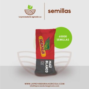 semillas