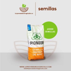 semillas